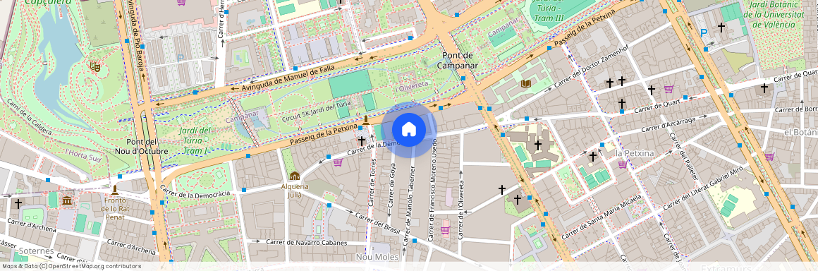 Calle Democràcia, 24, 46018 València, Spain
