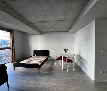 Apartamento T0 na Forca - Aveiro - Photo 3