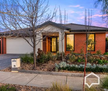 12 Bilitho Street Huntly VIC - Photo 4