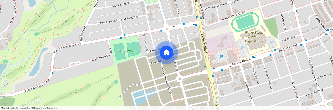 10 Percy Rye Avenue, Markham