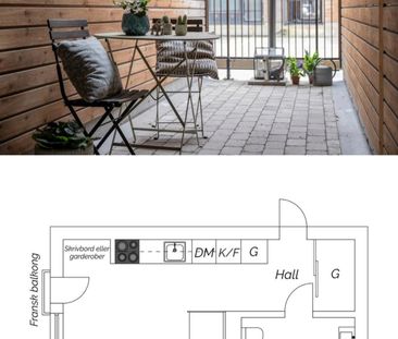 Gaffelseglet, Vega - Photo 4