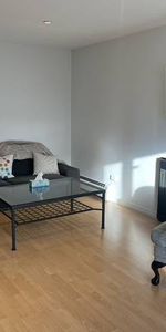 Taylor Swift Concert Accommodation – Spacious 2-Bedroom Available! - Photo 4