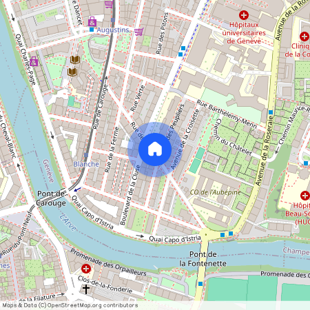 Rue de l'Aubépine, 1205 Genève