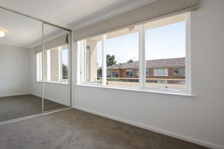 Fresh as a Daisy! - Photo 3