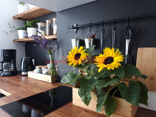 Mieszkanie do wynajęcia Opole, Centrum, 2 pokoje, 45m - Photo 1