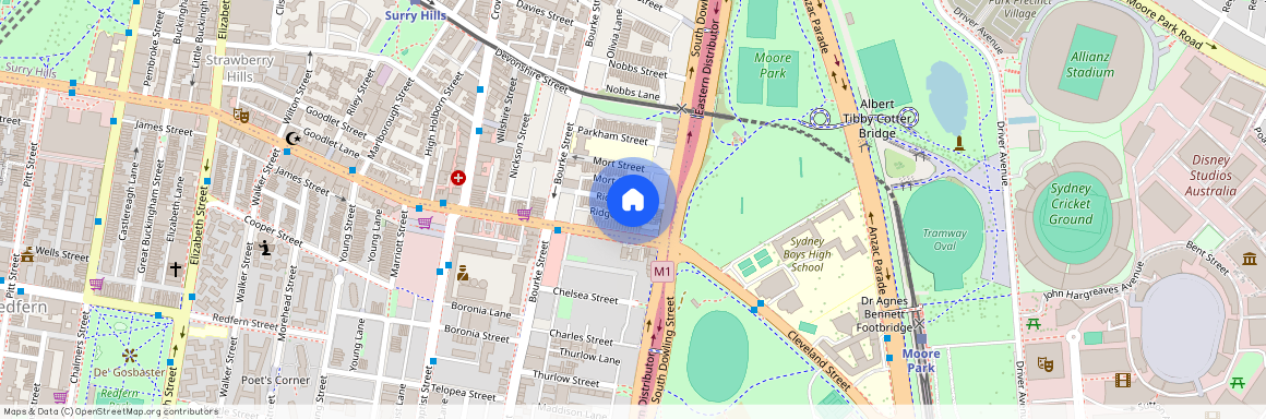 45 Ridge Street, NSW 2010, Surry Hills