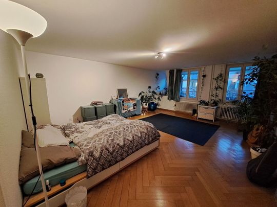 2-ROOM APARTMENT IN BERN - OLD CITY, FURNISHED, TEMPORARY - Foto 1
