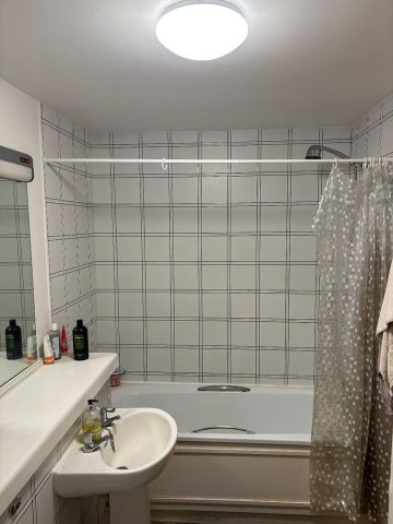 Studio Flat, Prusoms Island, E1W - Photo 5