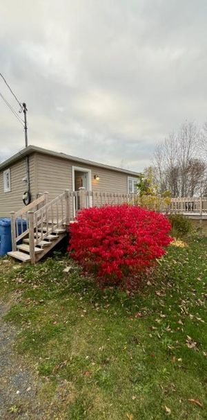 Maison a loué-grand terrain et vue imprenable sur la nature - Photo 1