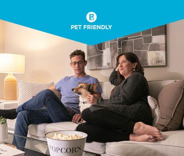 One Bedroom One Bath - Photo 3