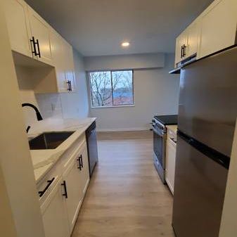 $300 Move-in Bonus - 1-Bedroom Apartment-Newly Renovated: - Photo 4