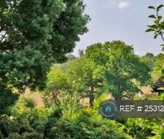 3 bedroom detached house to rent - Photo 2