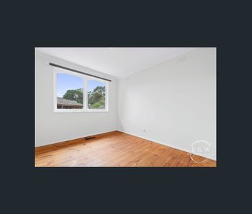 Quite the charmer! - Photo 4