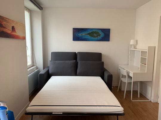 Location Appartement 1 pièce 17m² GRENOBLE 38000 - Photo 1
