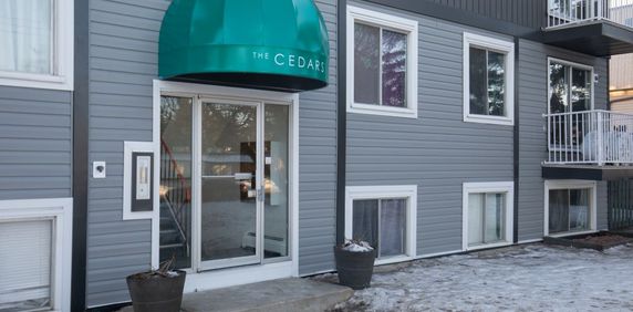 Fully Renovated 2 Bedroom, 1 Bathroom Apartment! - Photo 2