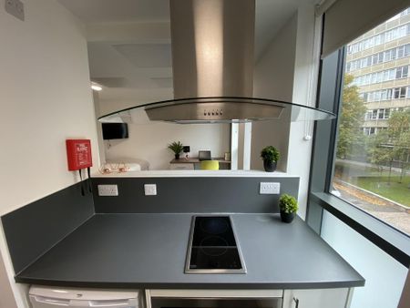 1 bedroom flat to rent - Photo 5