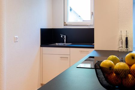 2.5 Zimmer, 74 m², 1. Stock - Foto 4