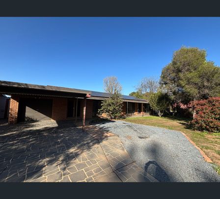 377 Day Street, West Albury, NSW 2640 - Photo 1