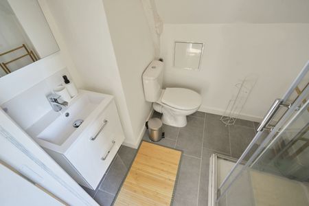 Saint Géry Roommate 5 Bedrooms at Valenciennes - Photo 4