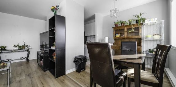 Appartement 4 ½ à louer juillet 2026 - Photo 2