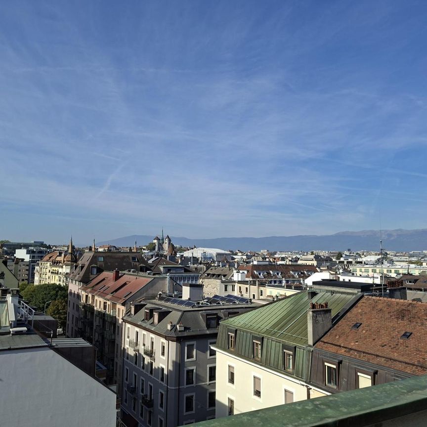 Magnifique appartement en attique au coeur des Eaux-Vives - Photo 2