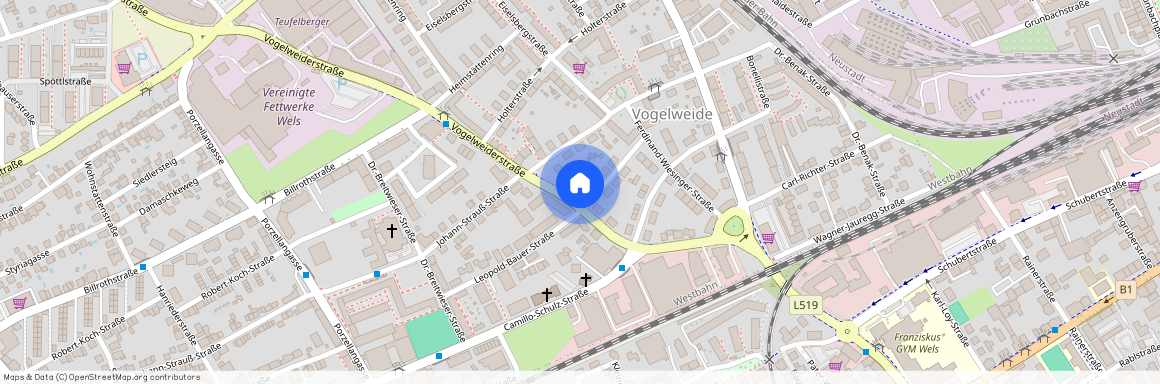 Leopold-Bauer-Straße 14, 4600, Wels