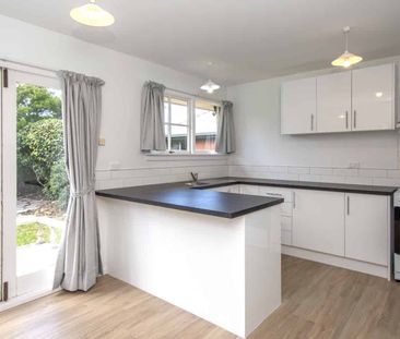 Newly Renovated Summer Living - Photo 3