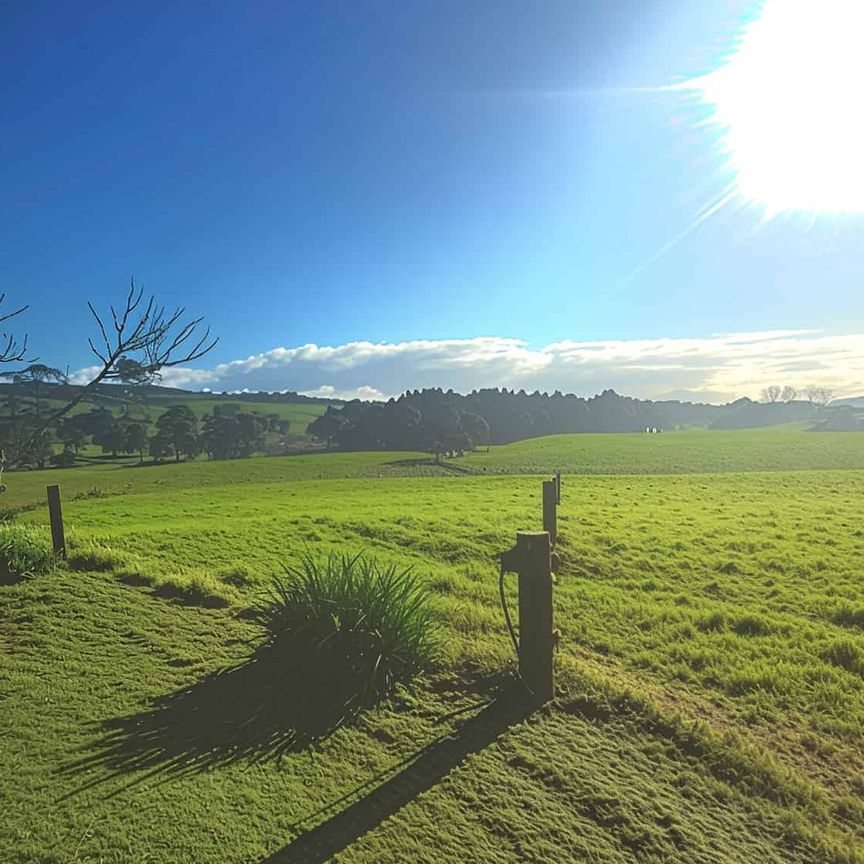 Waipu Farm House - Photo 1
