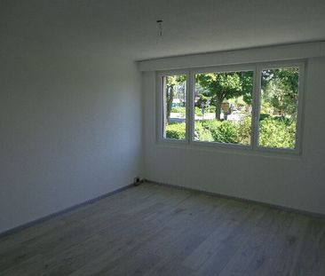 The opportunity! - Photo 2