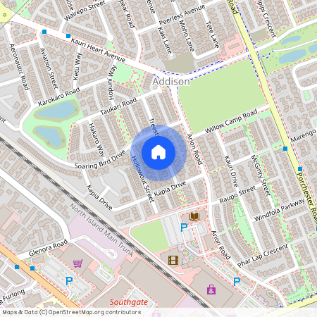 22 Treestump Road, Papakura, Takanini