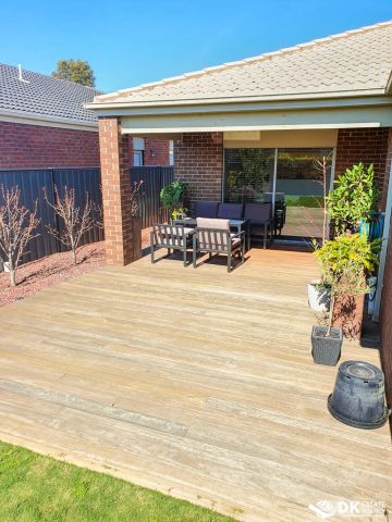 “FAMILY ENTERTAINER!” - Photo 3