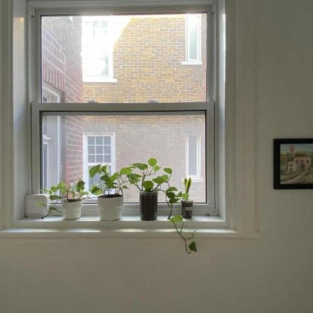 3 1/2 à louer - situé à deux pas des plaines d’Abraham - Photo 4