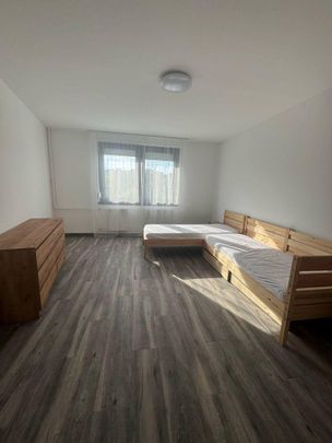 Hajdú-Bihar megye, Debrecen - Photo 1