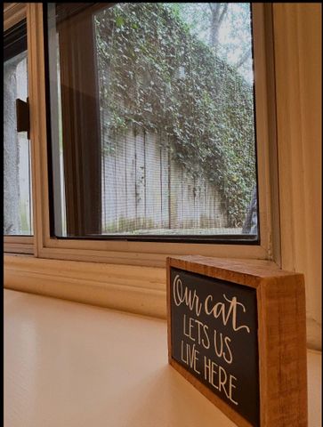 For Lease - 248 Dovercourt Road Unit# LOWER, Toronto, Ontario - Photo 3