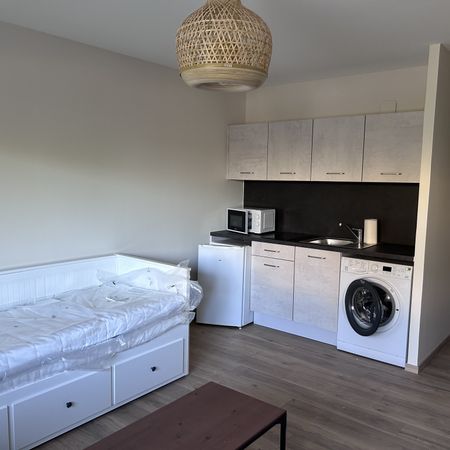 Location Appartement 1 pièce 23m² ILLZACH 68110 - Photo 4