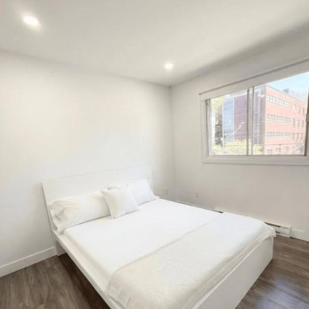 1 CH - 1 SDB - Montréal - $1,399 /mo - Photo 4