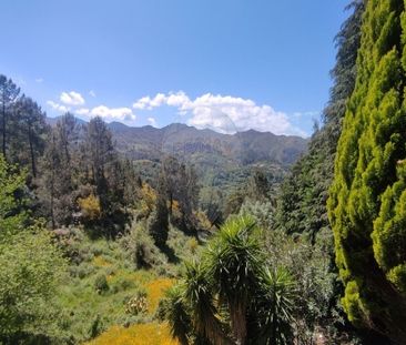 Moradia T4 - Photo 3