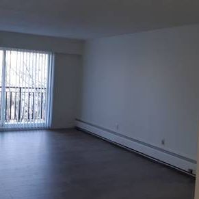 2 Bedroom Apt Commercial Dr - Photo 1