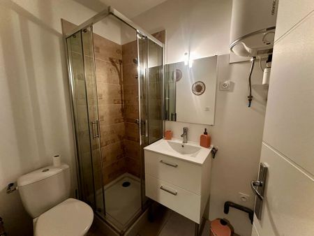 Studio Chamagnieu avec jardinet - Photo 4