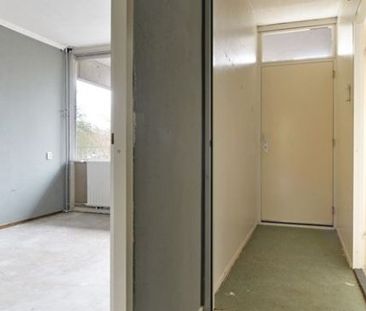 Apartment Haarlem - Brammershoop - Photo 2