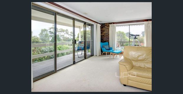 Fabulous on Foote Street! - Photo 1