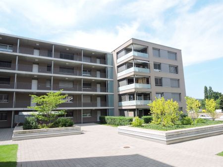 Ideal für jung und alt - Photo 3