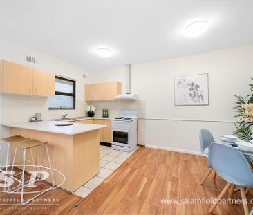 Top-Floor, 2-Bedroom Unit in Strathfield - Photo 6