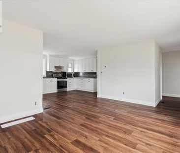 79 CANTERBURY Avenue Unit# Upper, Stoney Creek, Ontario, L8G3S8 - Photo 5