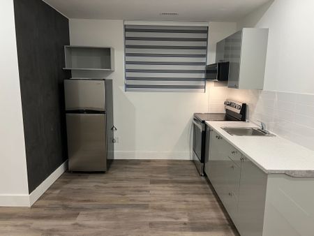 For Lease - 104 Pembroke Street Unit# Laneway Lower, Toronto, Ontario - Photo 3