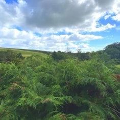 Haytor Vale, Haytor, Newton Abbot - Photo 1