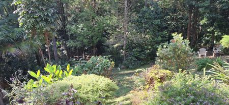 One Bedroom Garden Flat - Photo 5