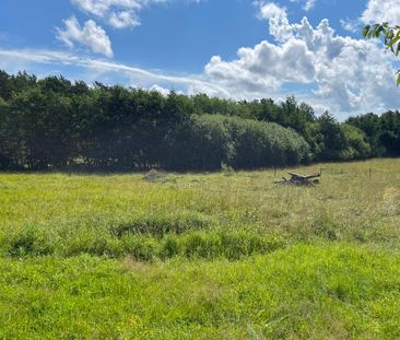 Springtorpsvägen, Landfjärden - Foto 4