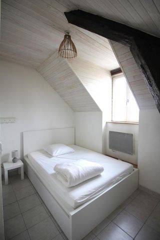 Location Appartement 1 pièce 24m² NANTES 44100 - Photo 4