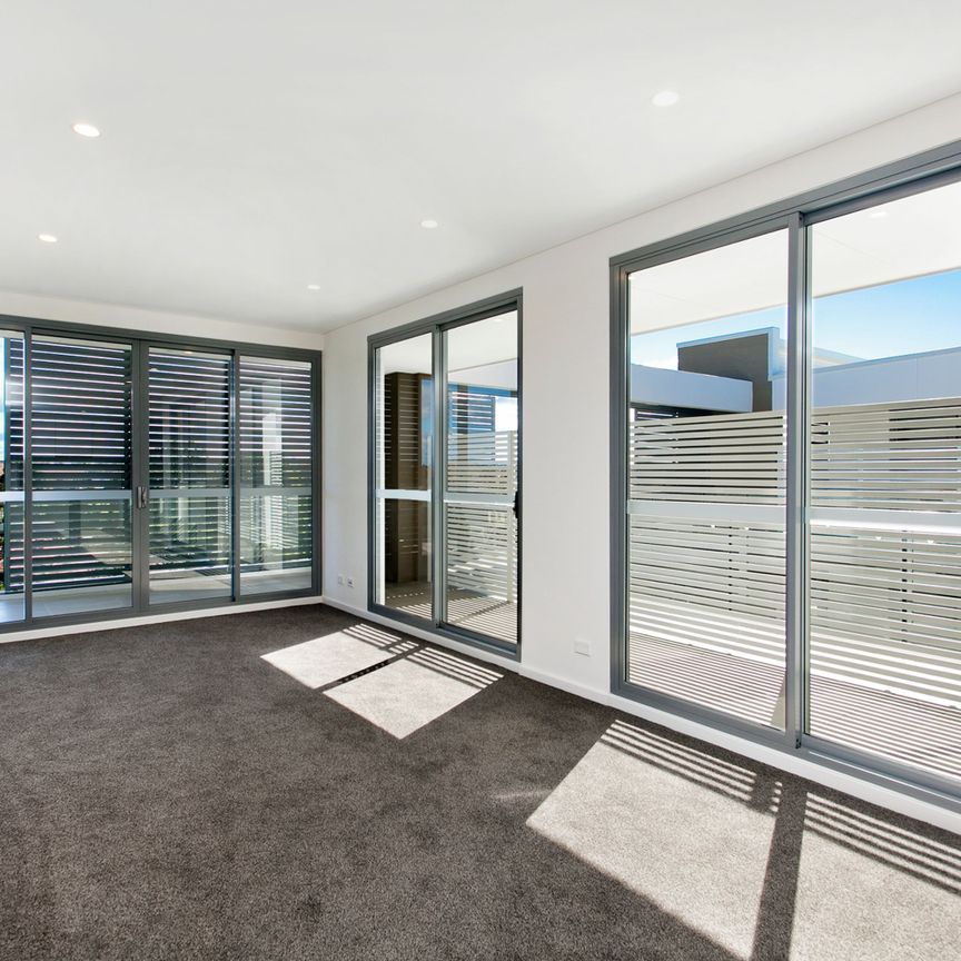 One Bedroom Plus Study - Photo 1